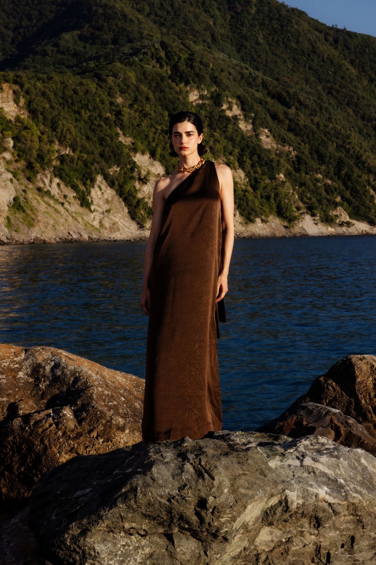 Nimes One Shoulder Dress | Brown